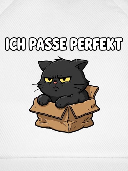 Grimmige Katze im Karton