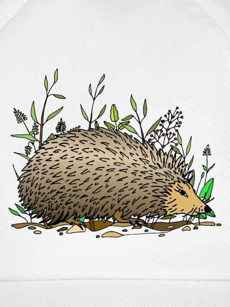 Igel