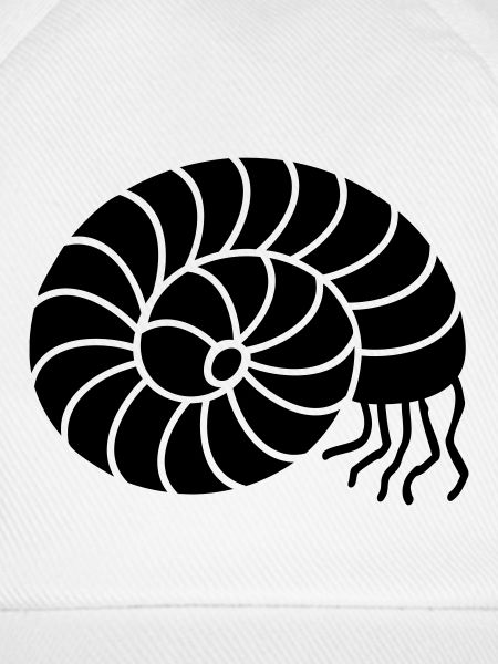 Cephalopoda (1c)