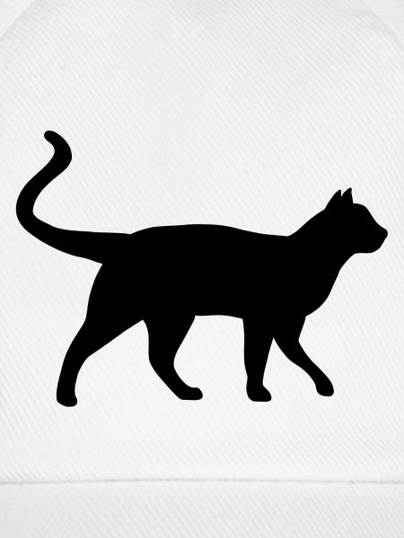 Katze