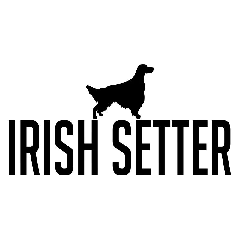 IRISH SETTER dog