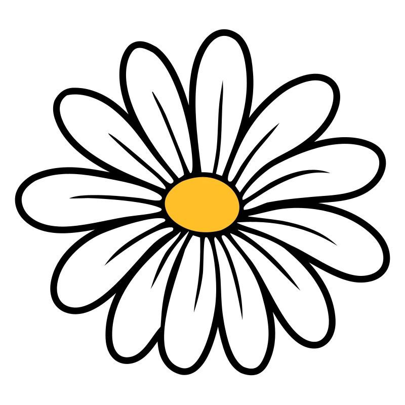 Gänseblümchen