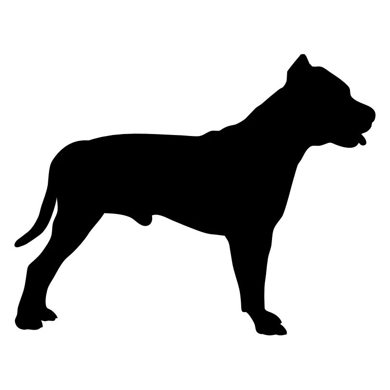 Pitbull