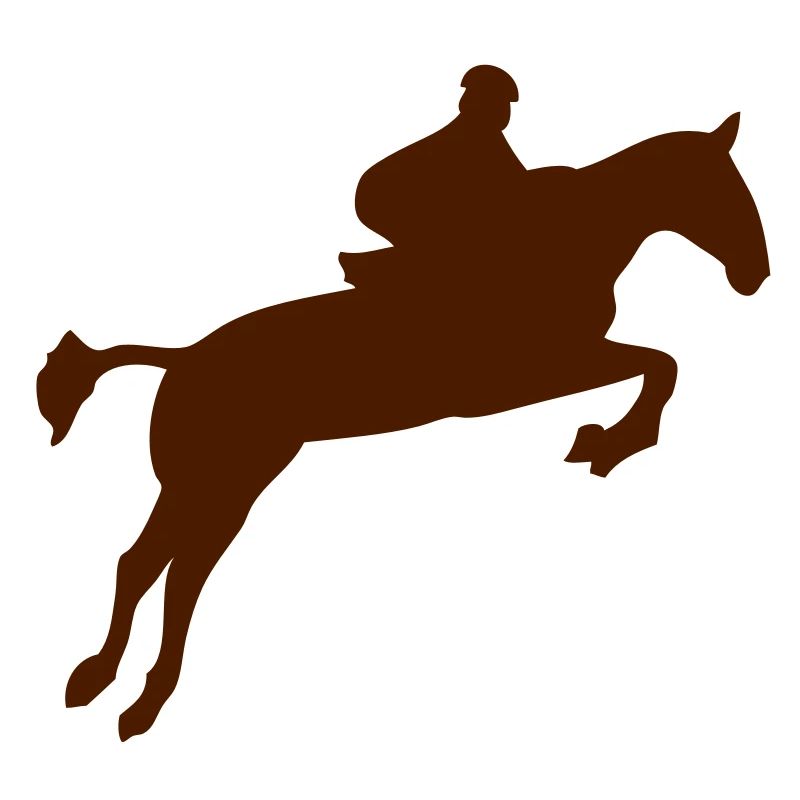 saut obstacle cheval monte 1