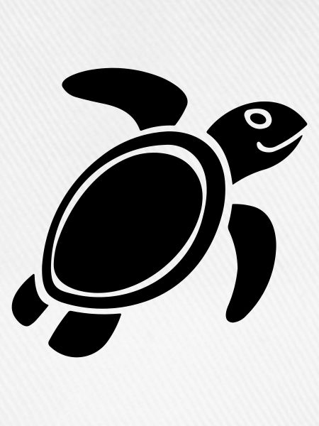 tortoise