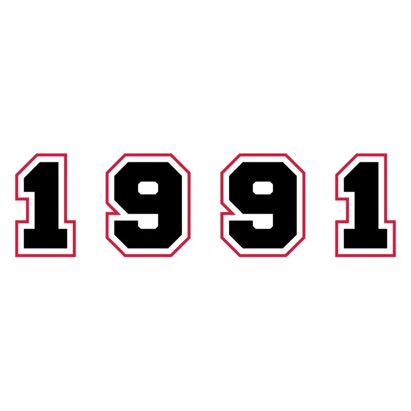 Numéro de l’année 1991
