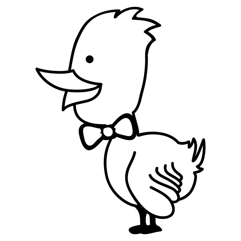 Duck