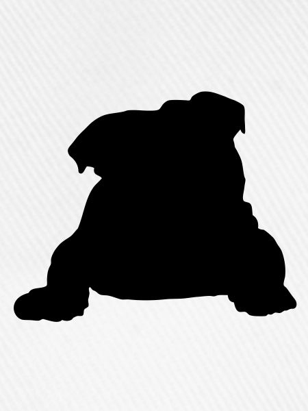 English bulldog