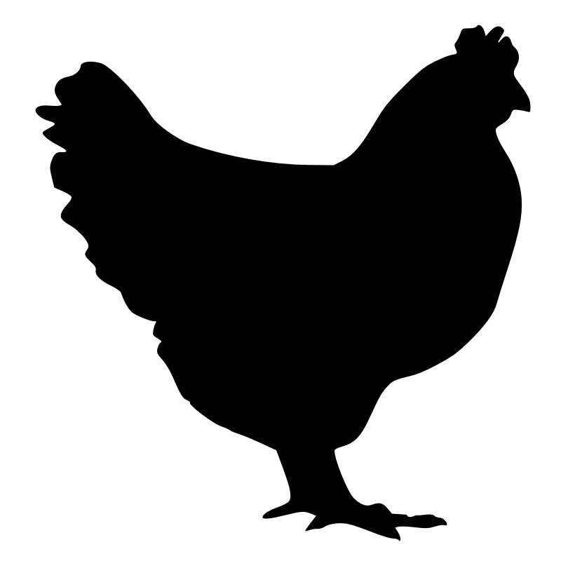 huhn