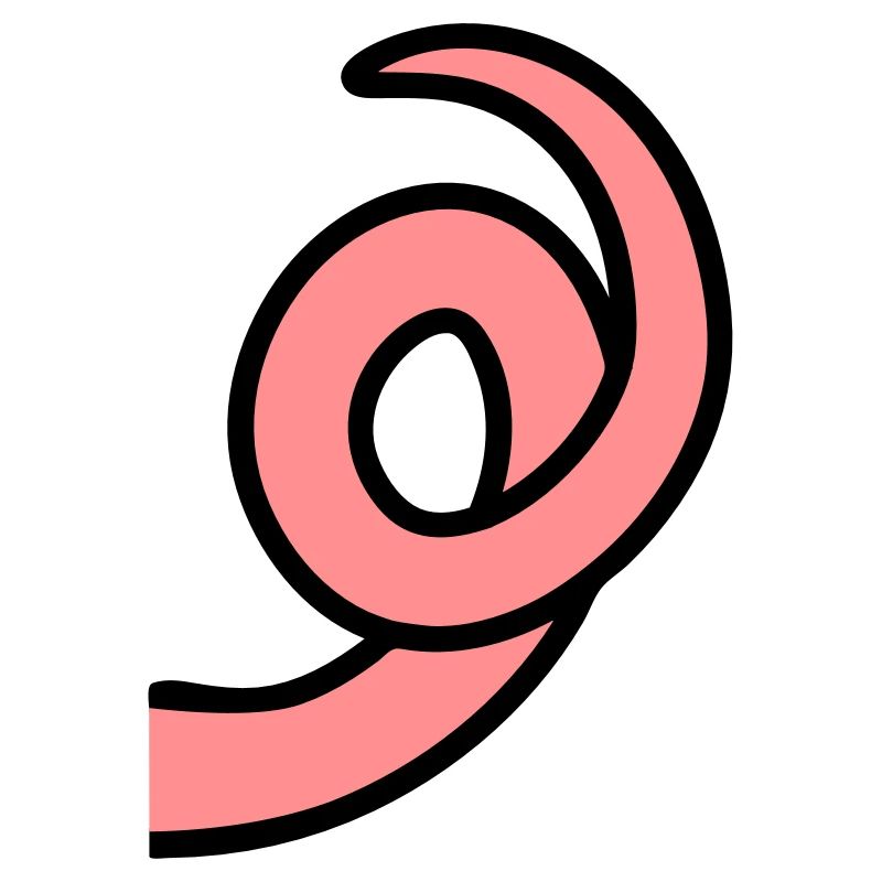 RingTail cochon