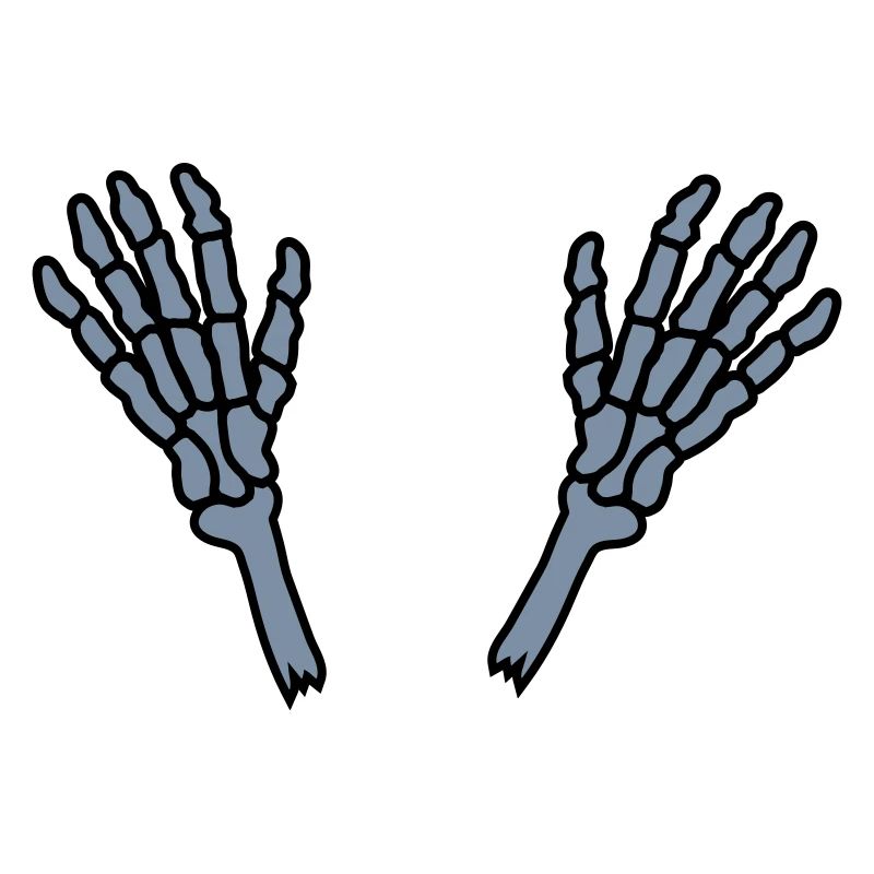 2 Skeleton Hands Bones