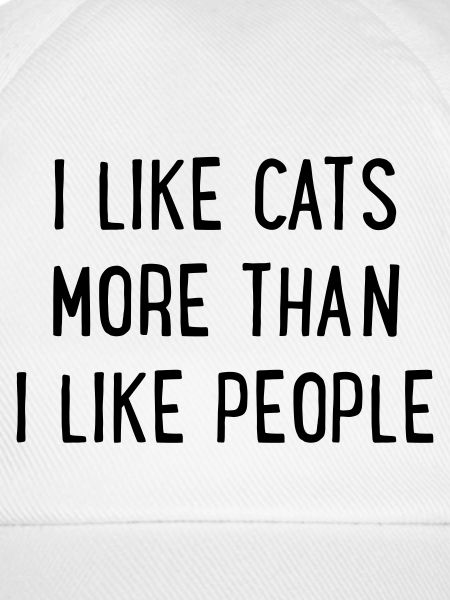 Feline