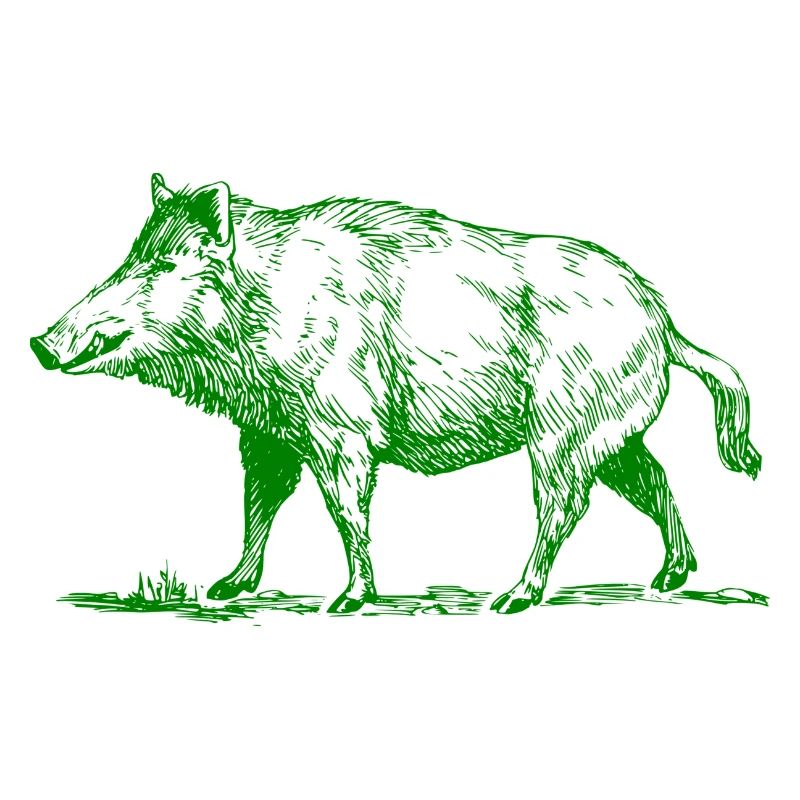 pig39