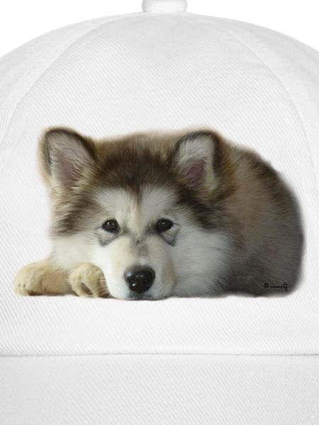Maia Malamute Puppy