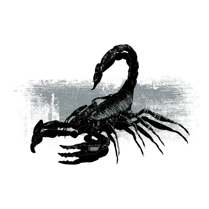 Scorpio Black White Contrast Design