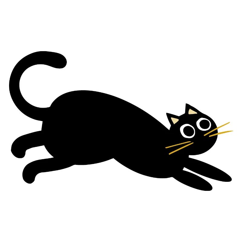 chat courant noir