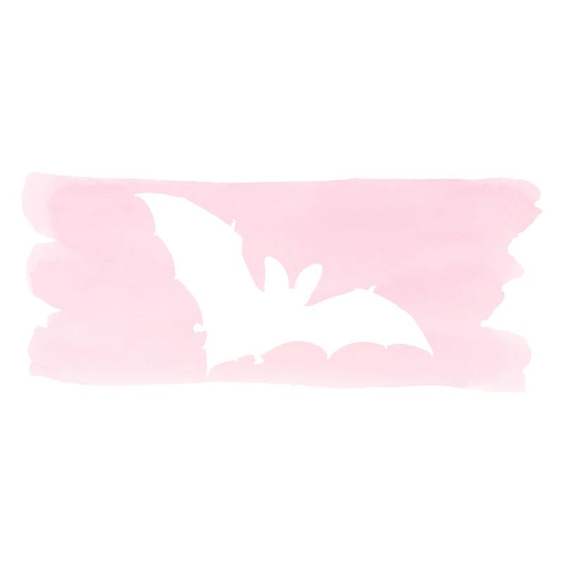 Fledermaus