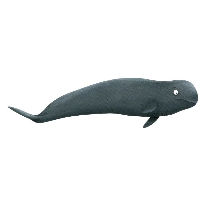 globicéphale
