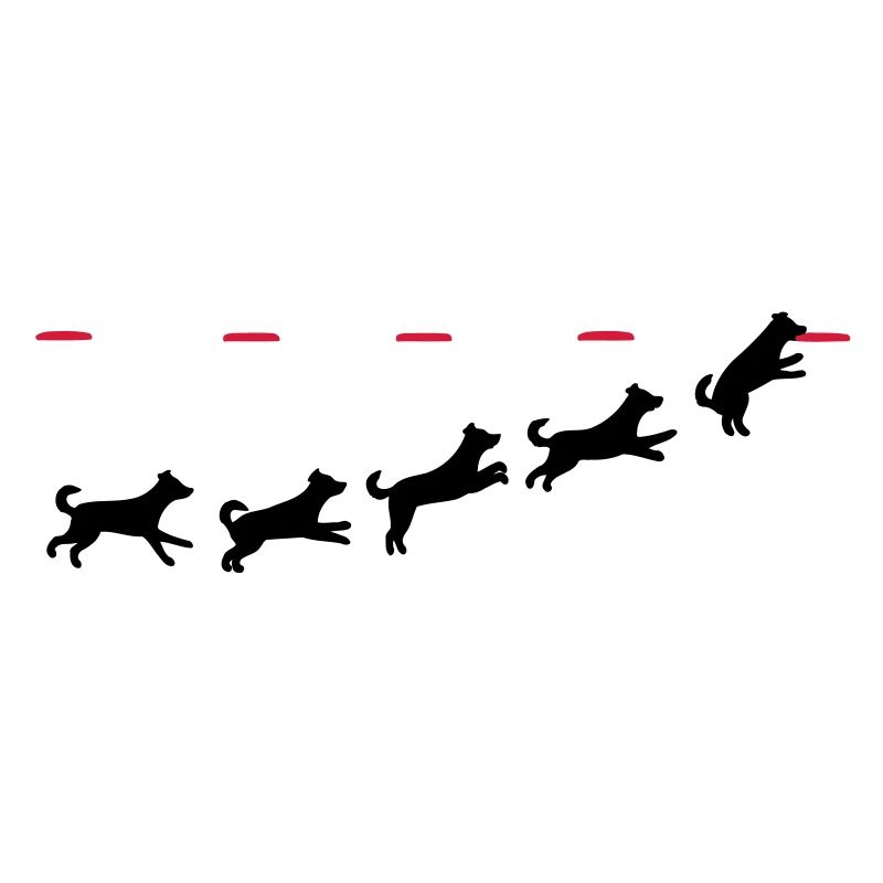 Frisbee dog