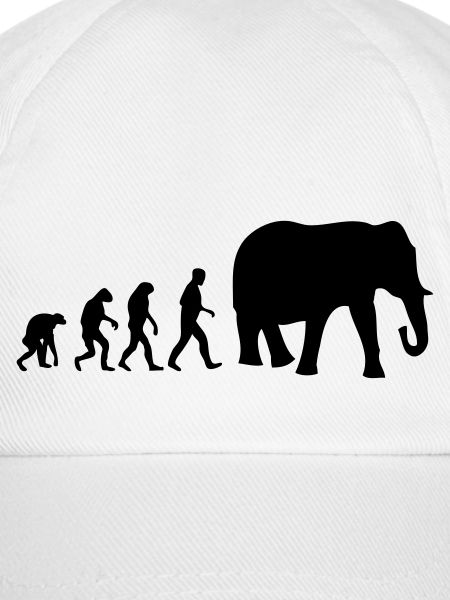 elefant evolution