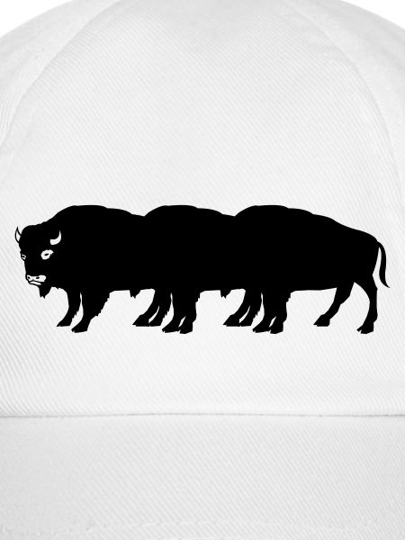 bisons