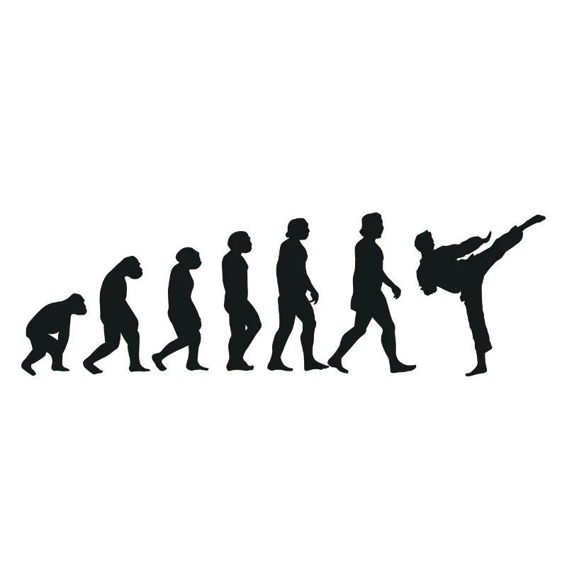 Evolution of Karate
