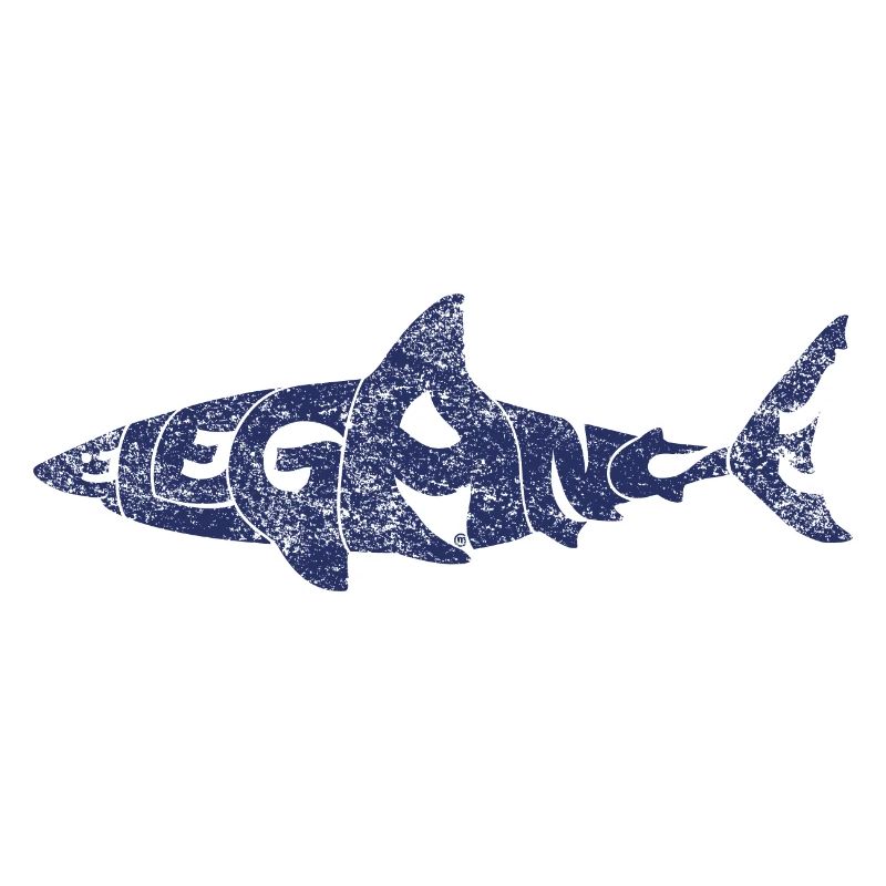 Requin élégant