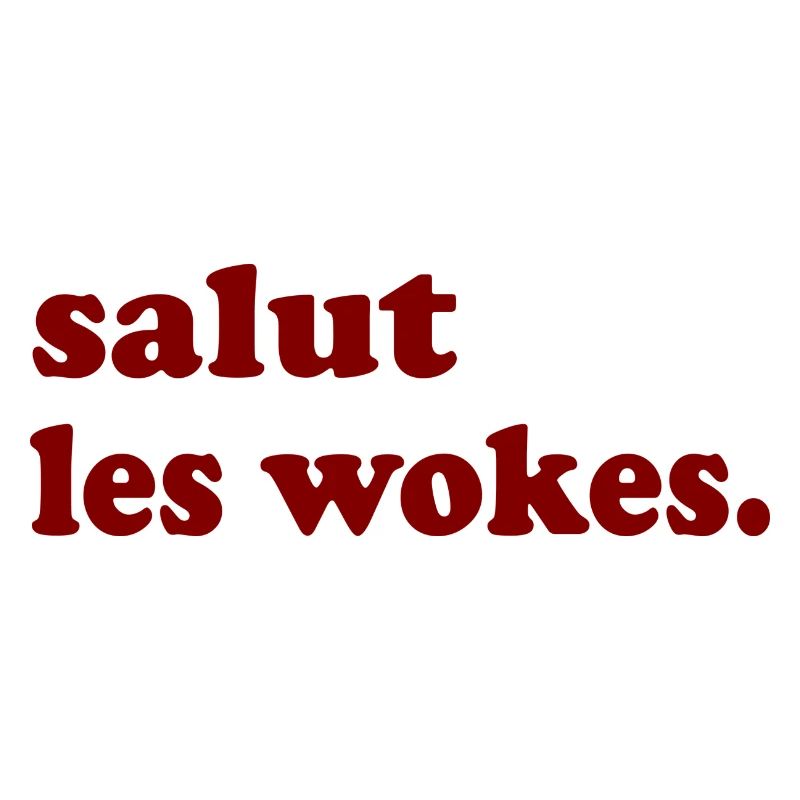 salut les wokes