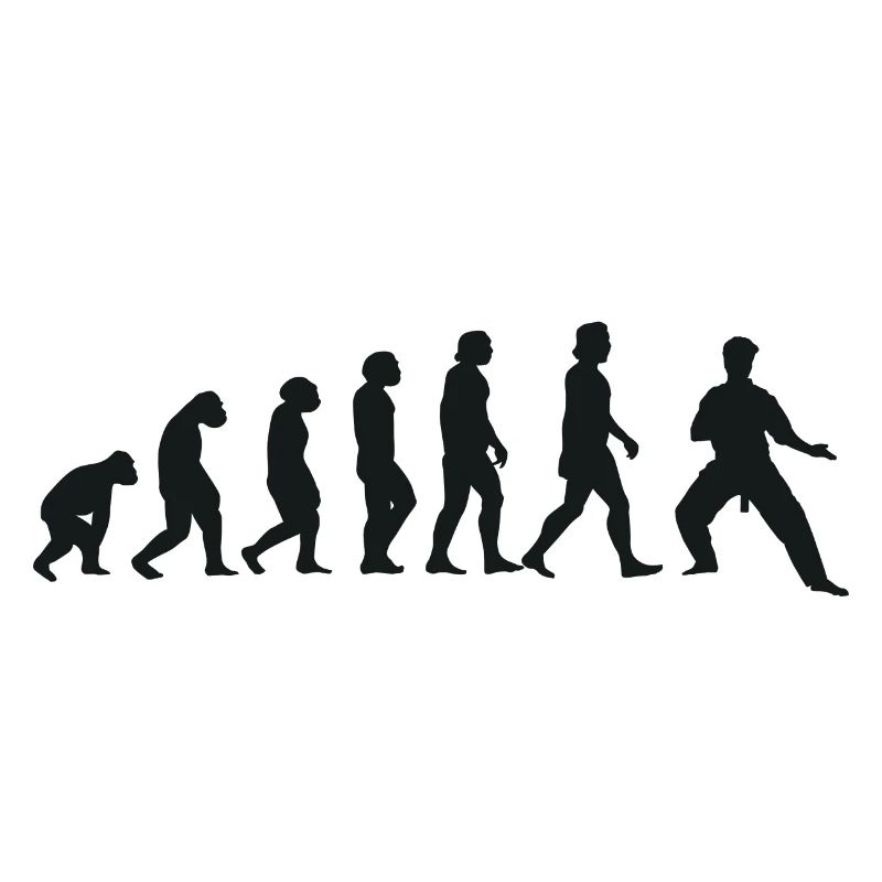 Evolution of Karate