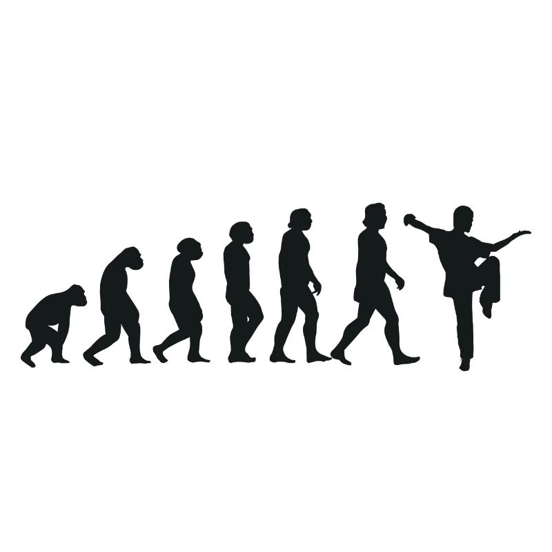 Evolution of Kung Fu