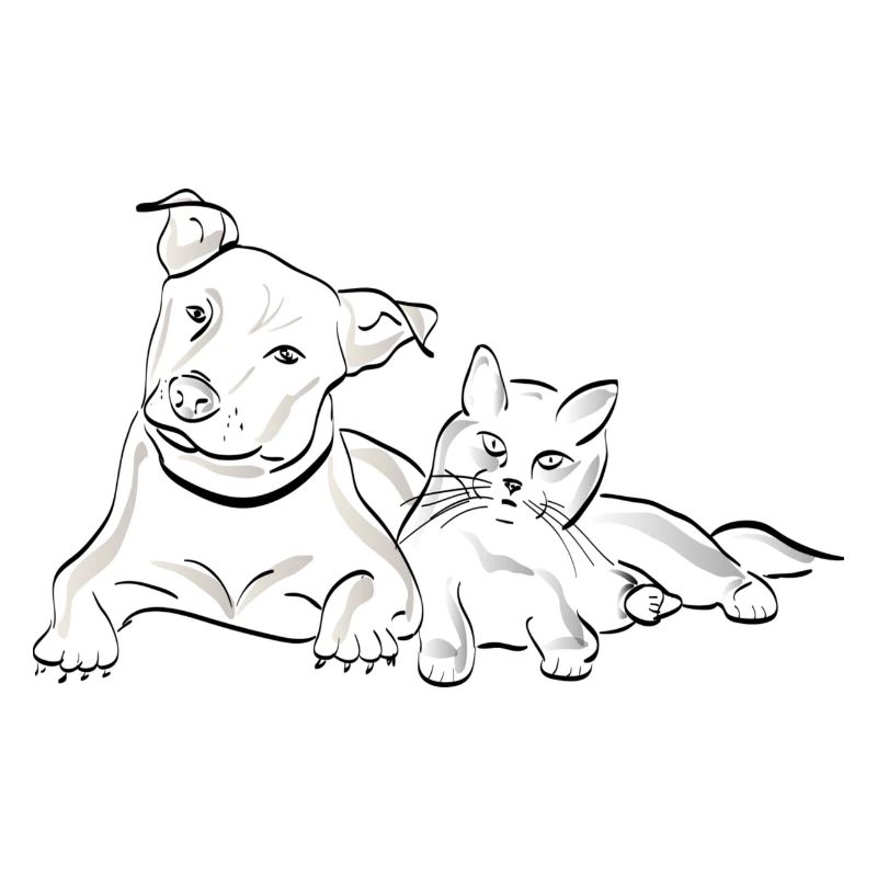 Chien et chat