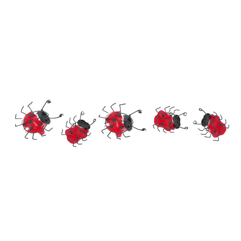 Marienkäfer Glück Ladybug