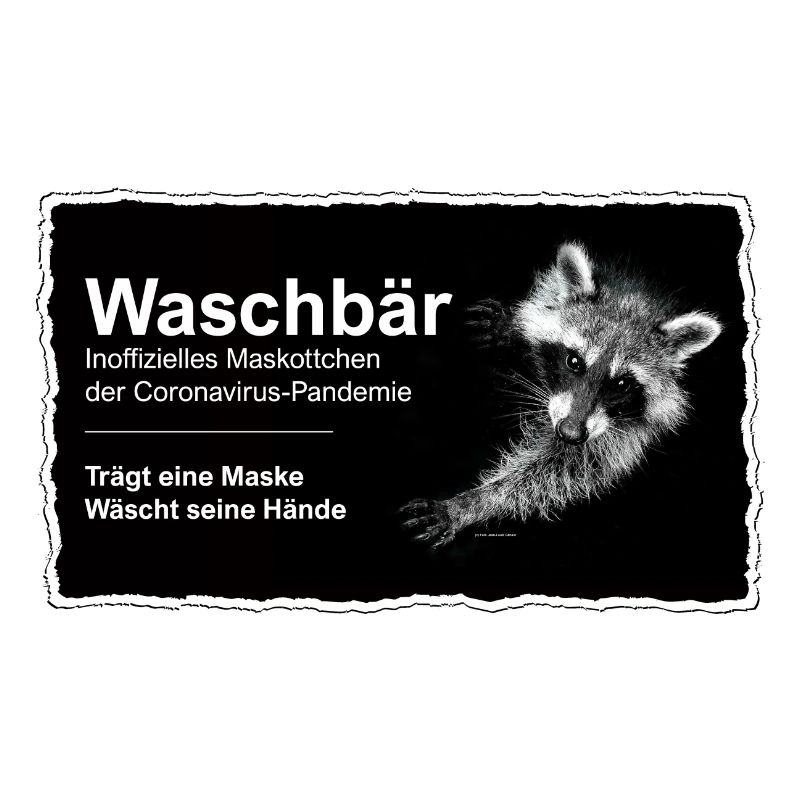 Maskottchen - Waschbär