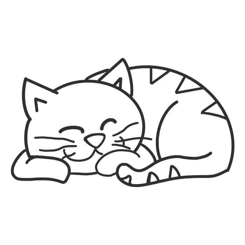Sleeping cat