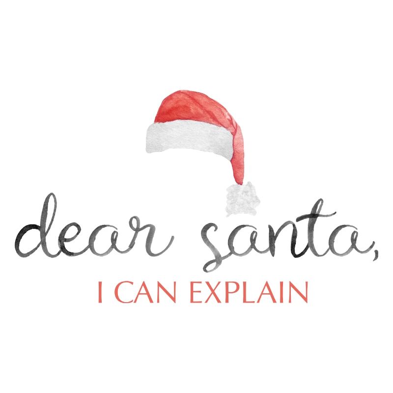 dear santa i can explain