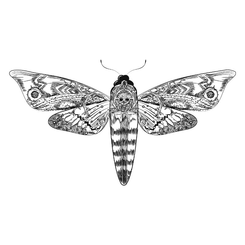Mystical Skull Hawkmoth – Filigree Insect
