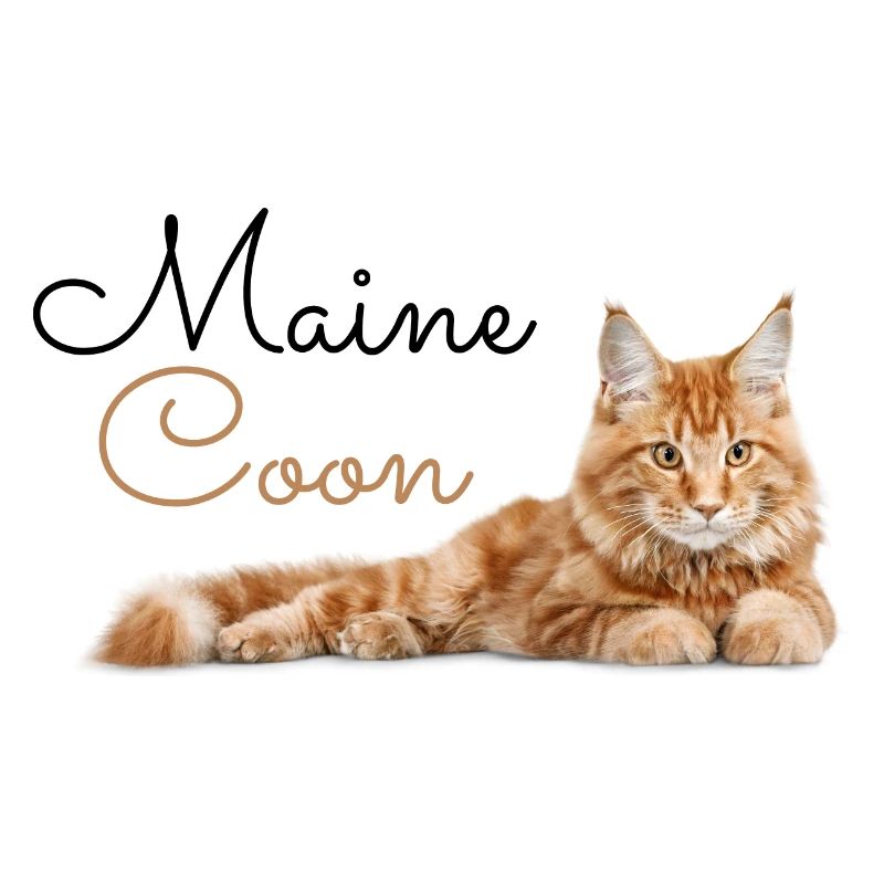 Maine Coon