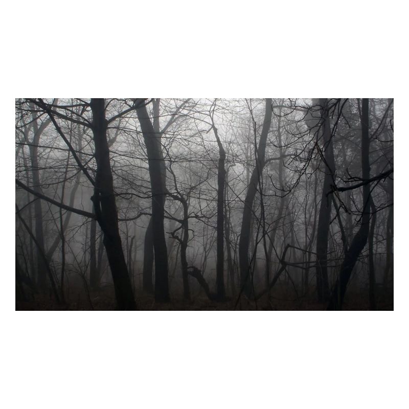 Forêt