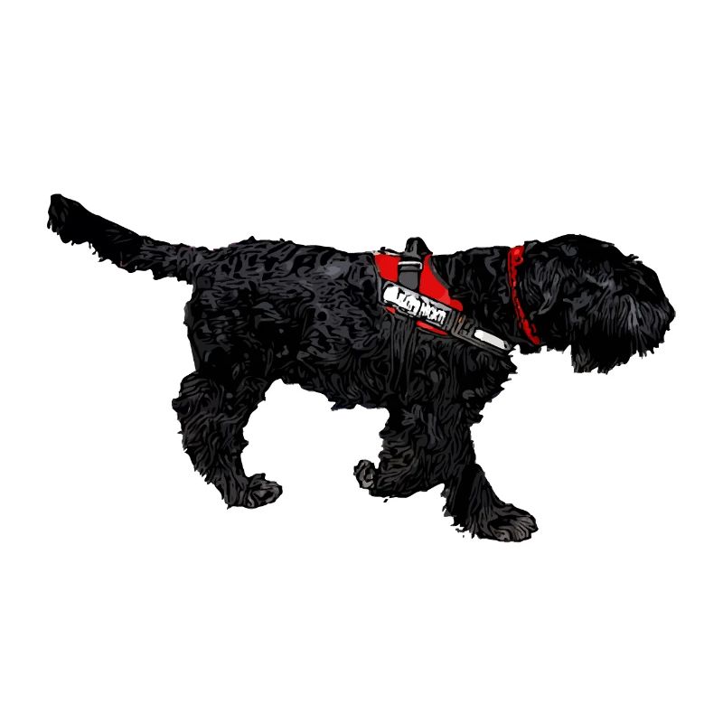 Schnauzer ONLY