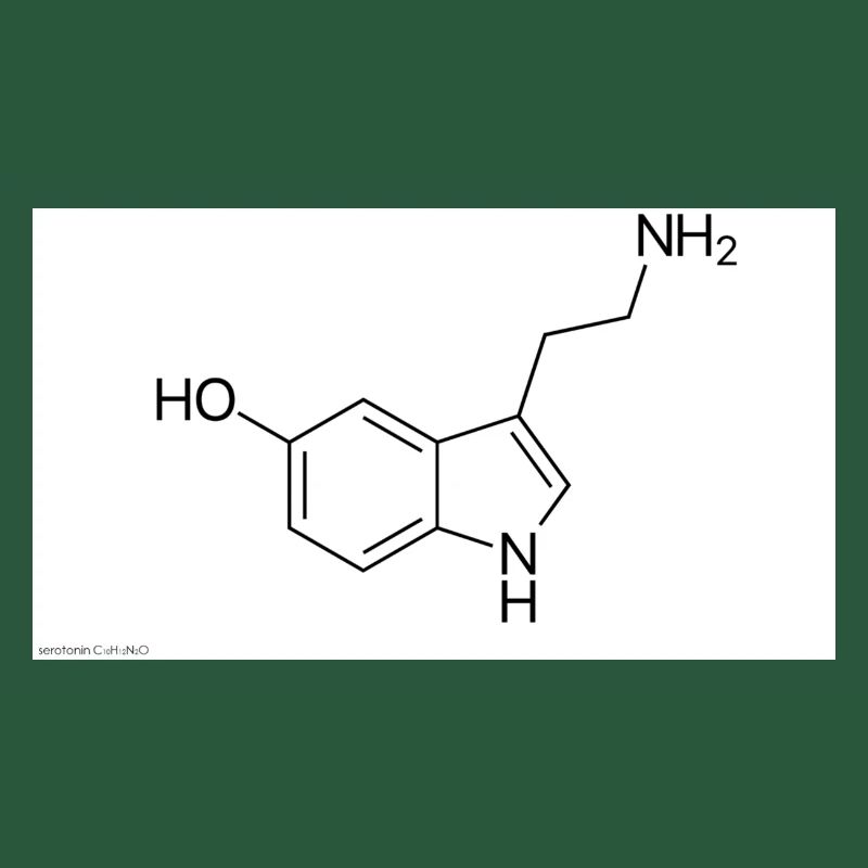 Serotonin