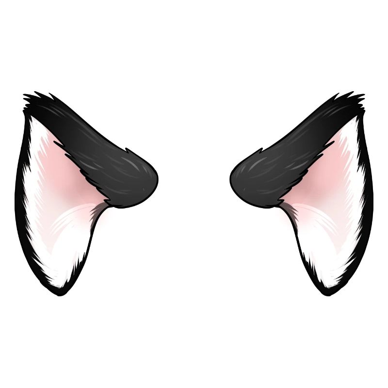 Oreilles de chat noir