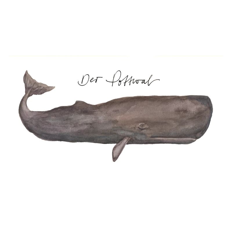 Der Pottwal Aquarell
