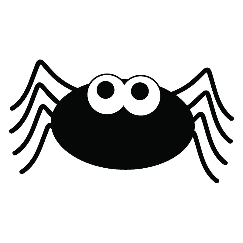 Spider Spinne