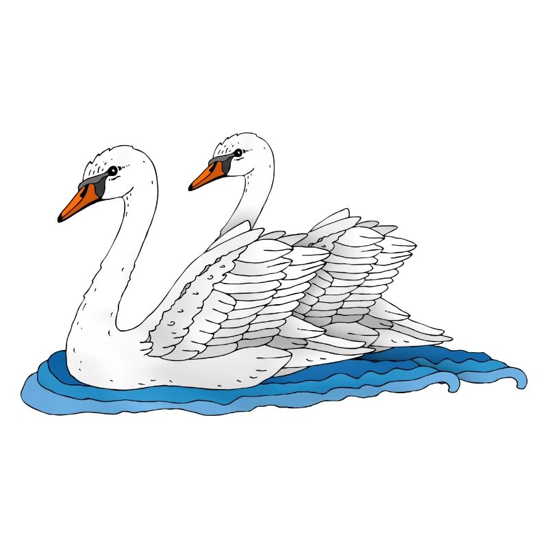 Oiseaux