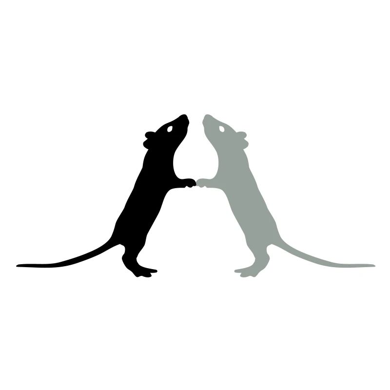 Rats