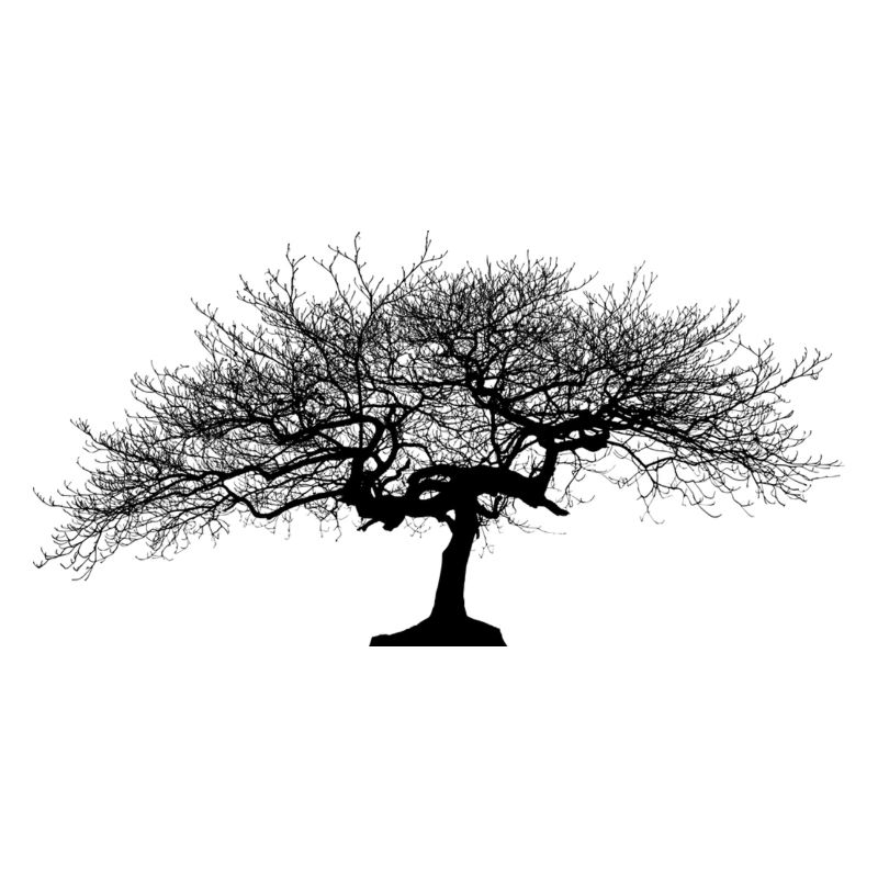 Schöner Baum