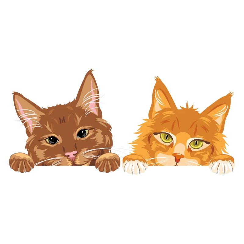 Peeking_cute_two_ginger_cats