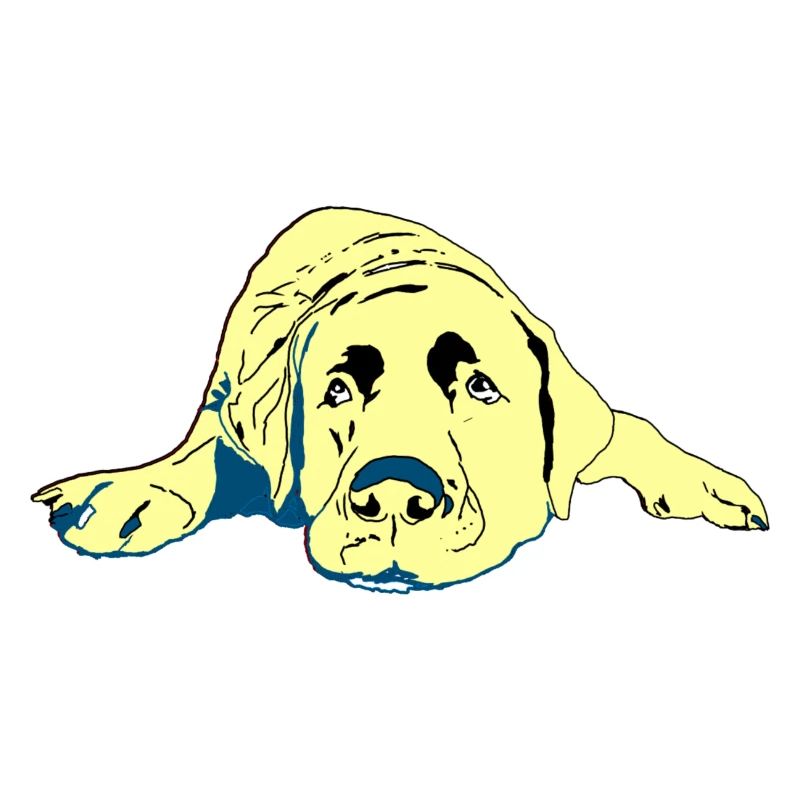 Labrador