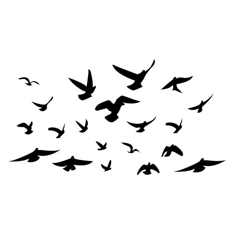Birds - Oiseaux