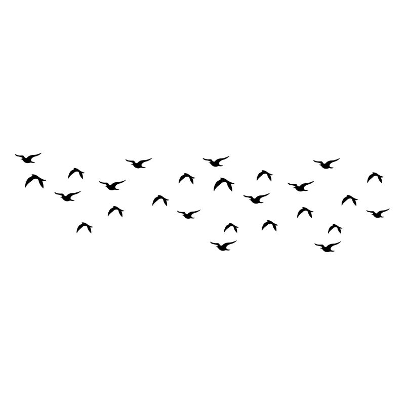 Birds